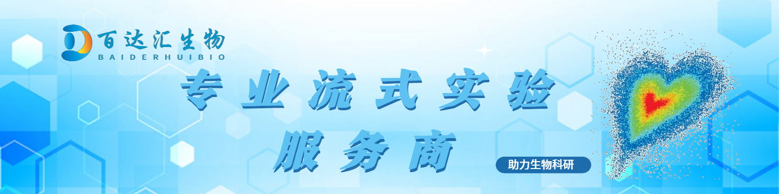 流式服務(wù)